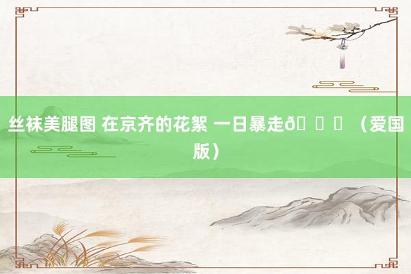丝袜美腿图 在京齐的花絮 一日暴走📝（爱国版）