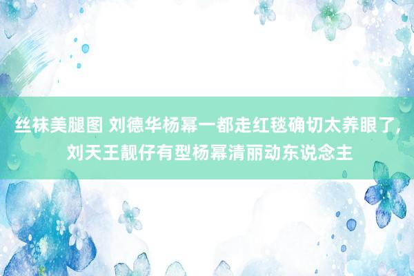丝袜美腿图 刘德华杨幂一都走红毯确切太养眼了， 刘天王靓仔有型杨幂清丽动东说念主