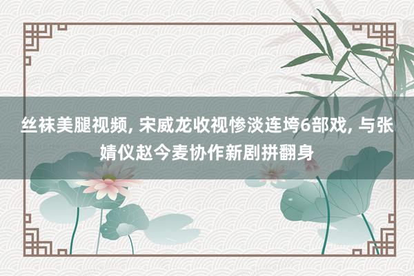 丝袜美腿视频， 宋威龙收视惨淡连垮6部戏， 与张婧仪赵今麦协作新剧拼翻身